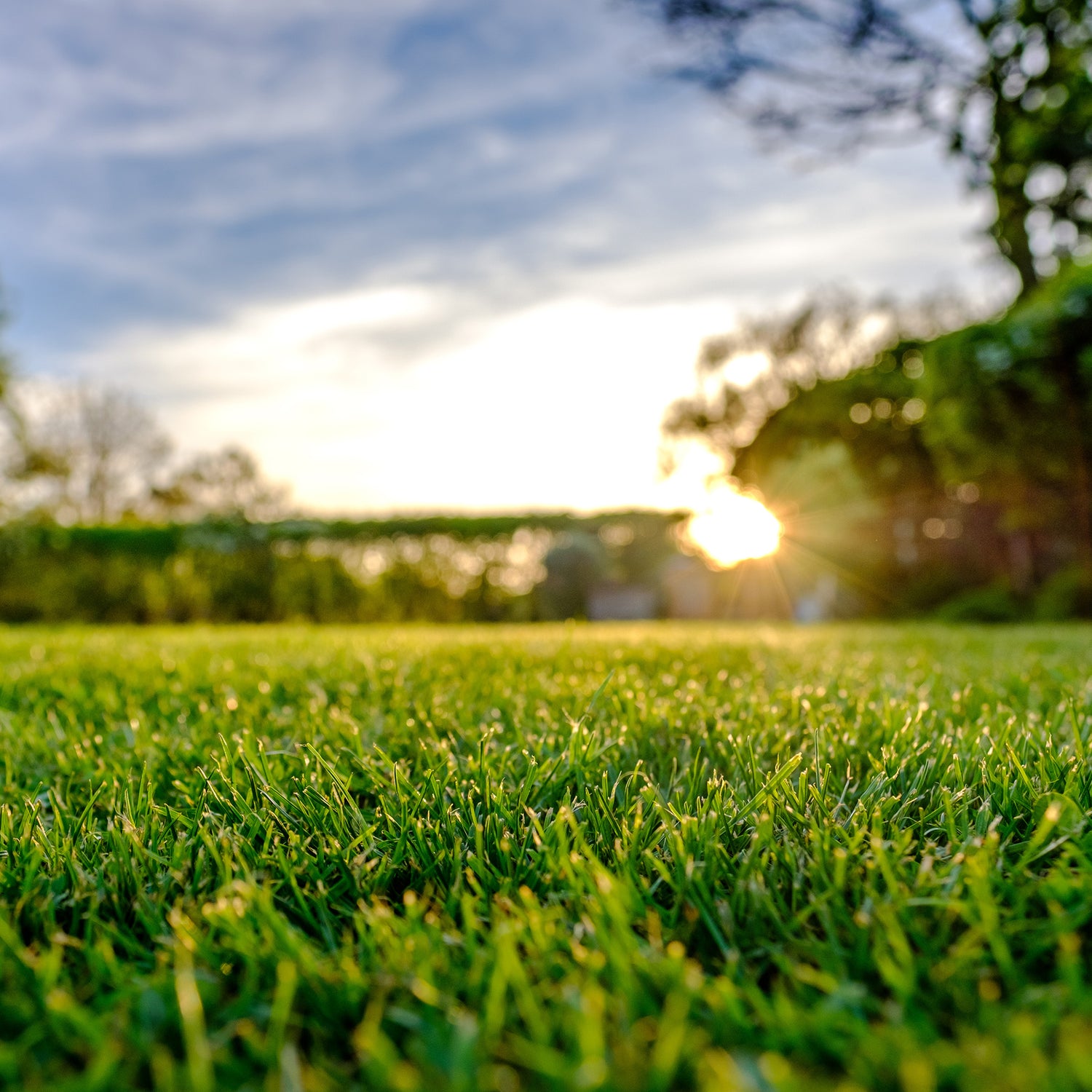 Nebraska field with the sun on the horizon