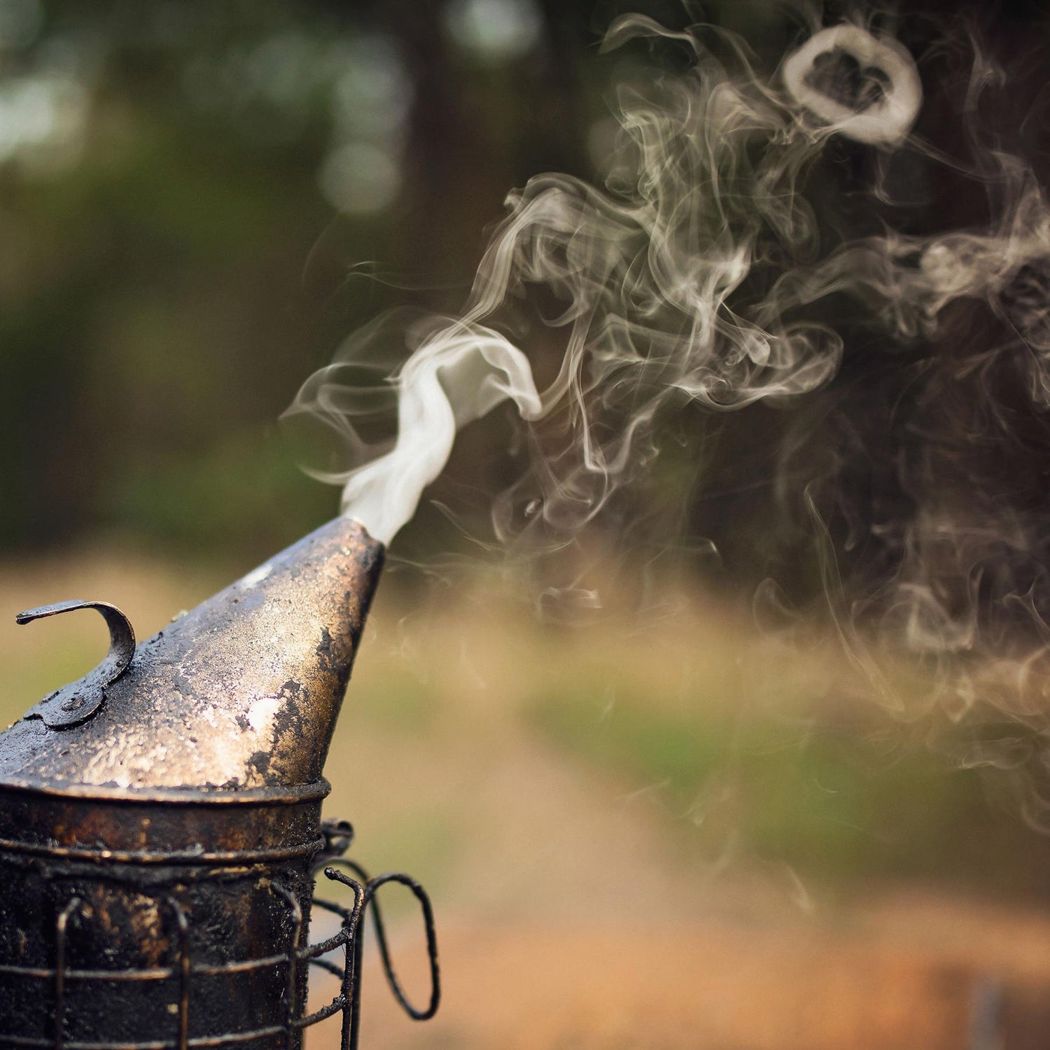 beekeeper's smoker with trees in background