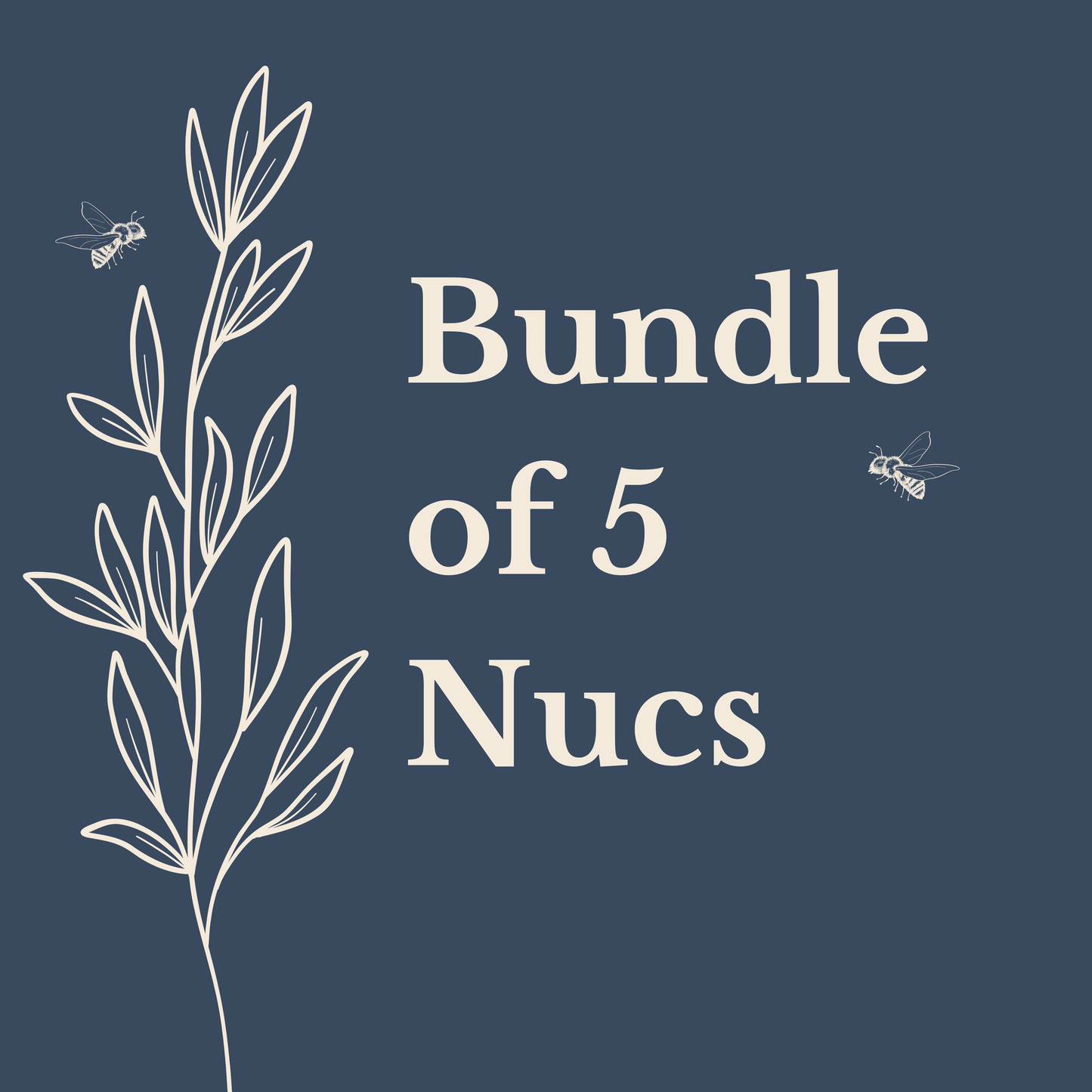 2026 Texas Nucs - Bundle of 5 Nucs