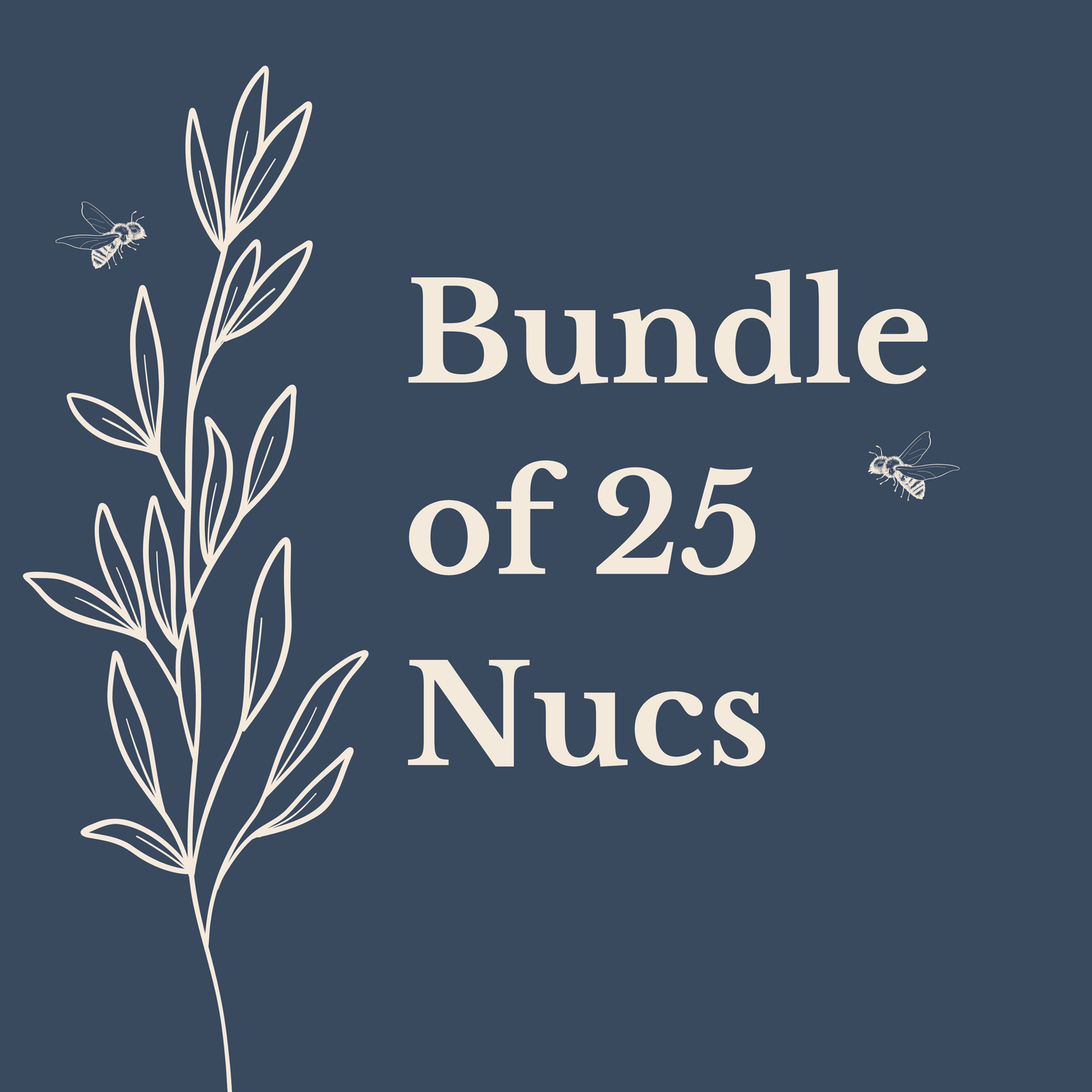 2026 Texas Nucs - Bundle of 25 Nucs