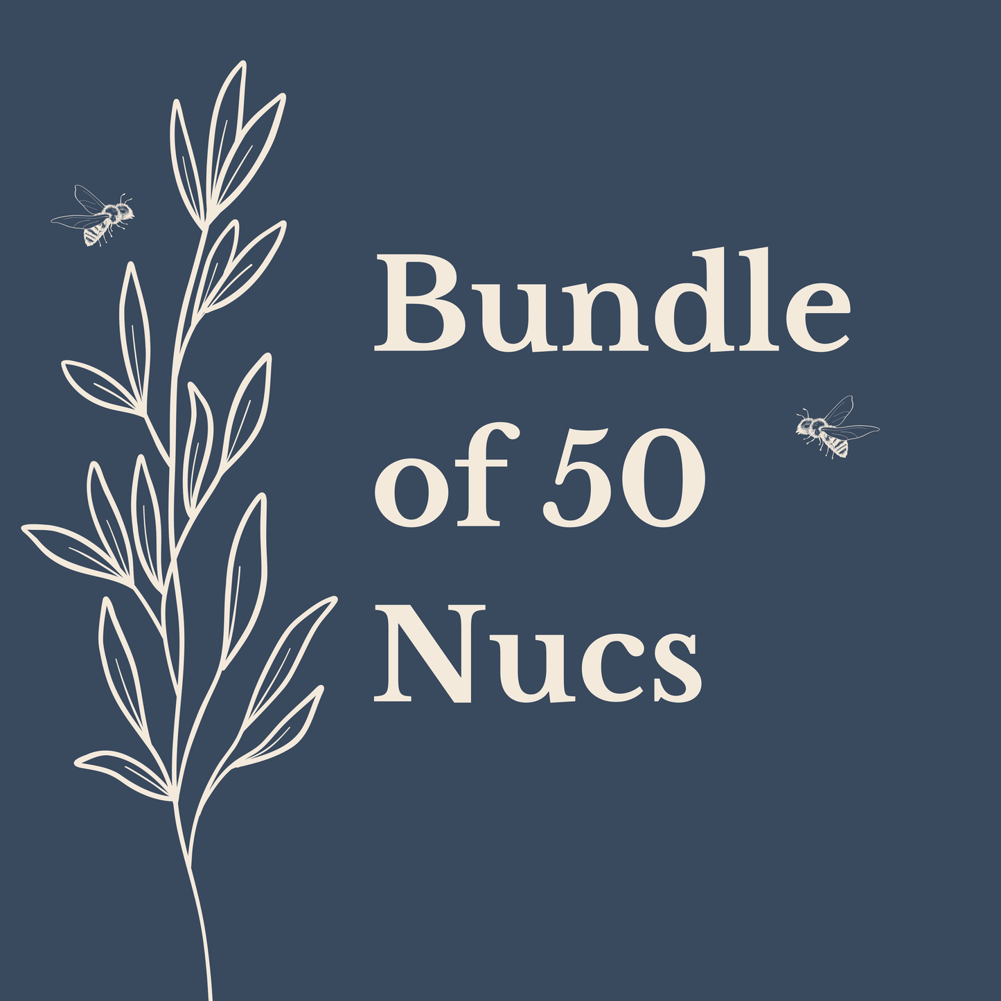 2026 Texas Nucs - Bundle of 50 Nucs