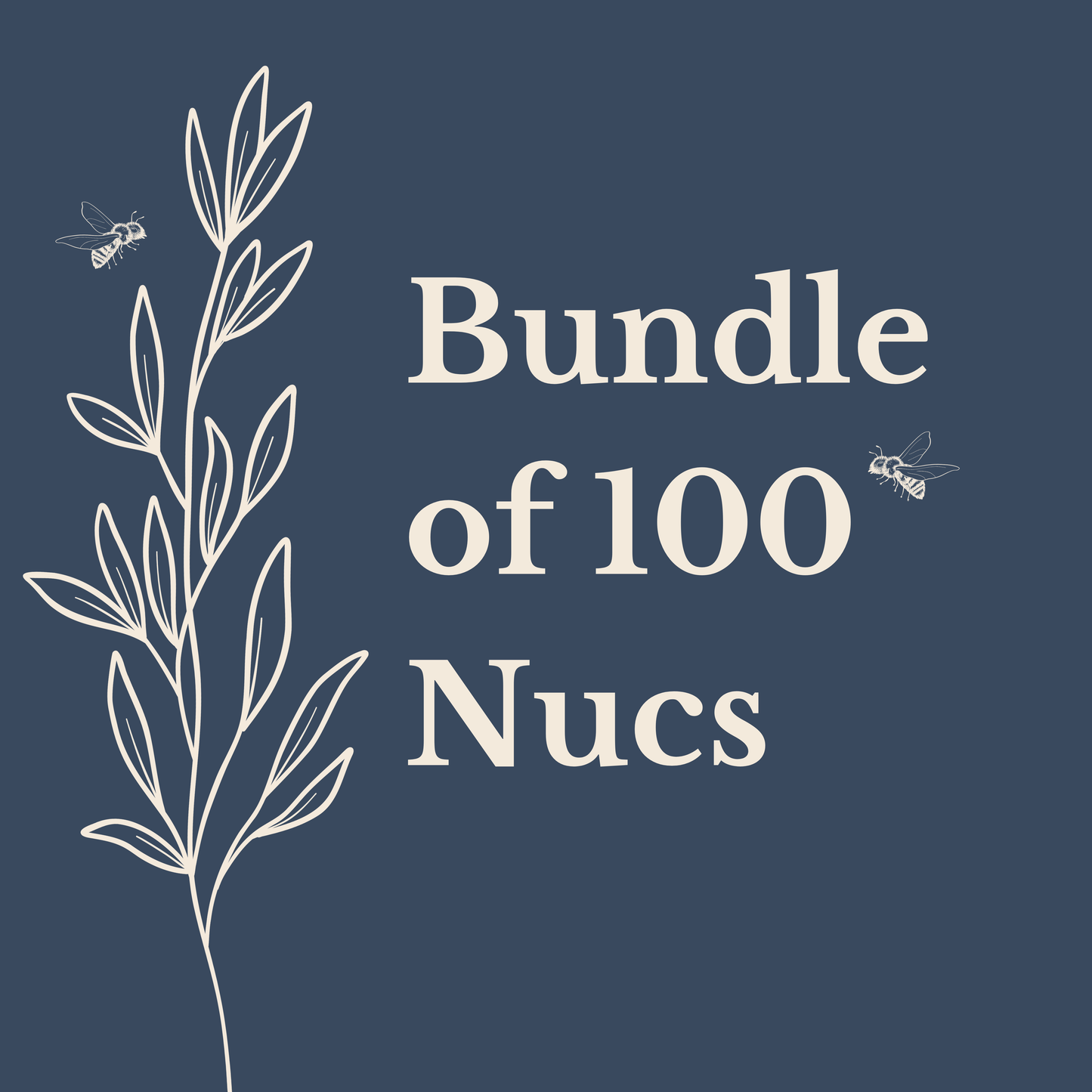 2026 Texas Nucs - Bundle of 100 Nucs