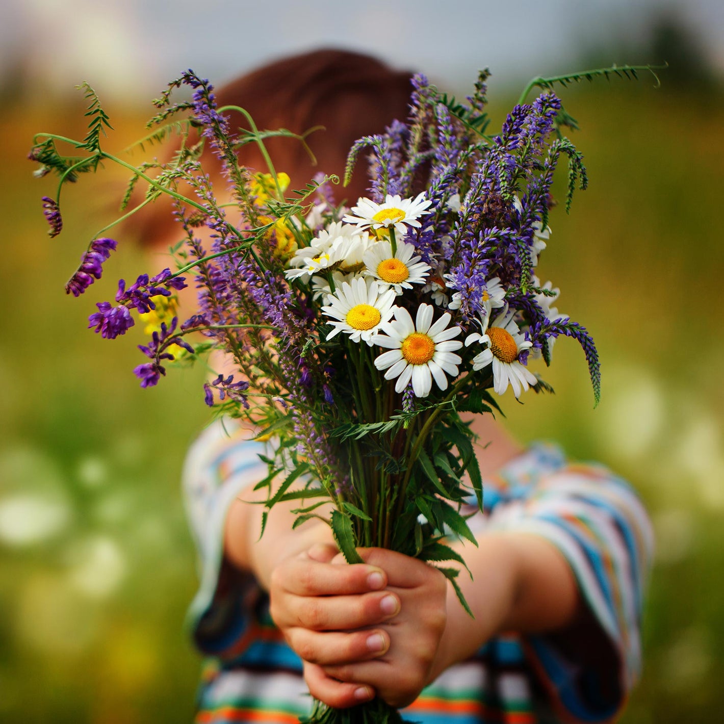 a little boy holding a bouquet of daises and lavender out in front of his face