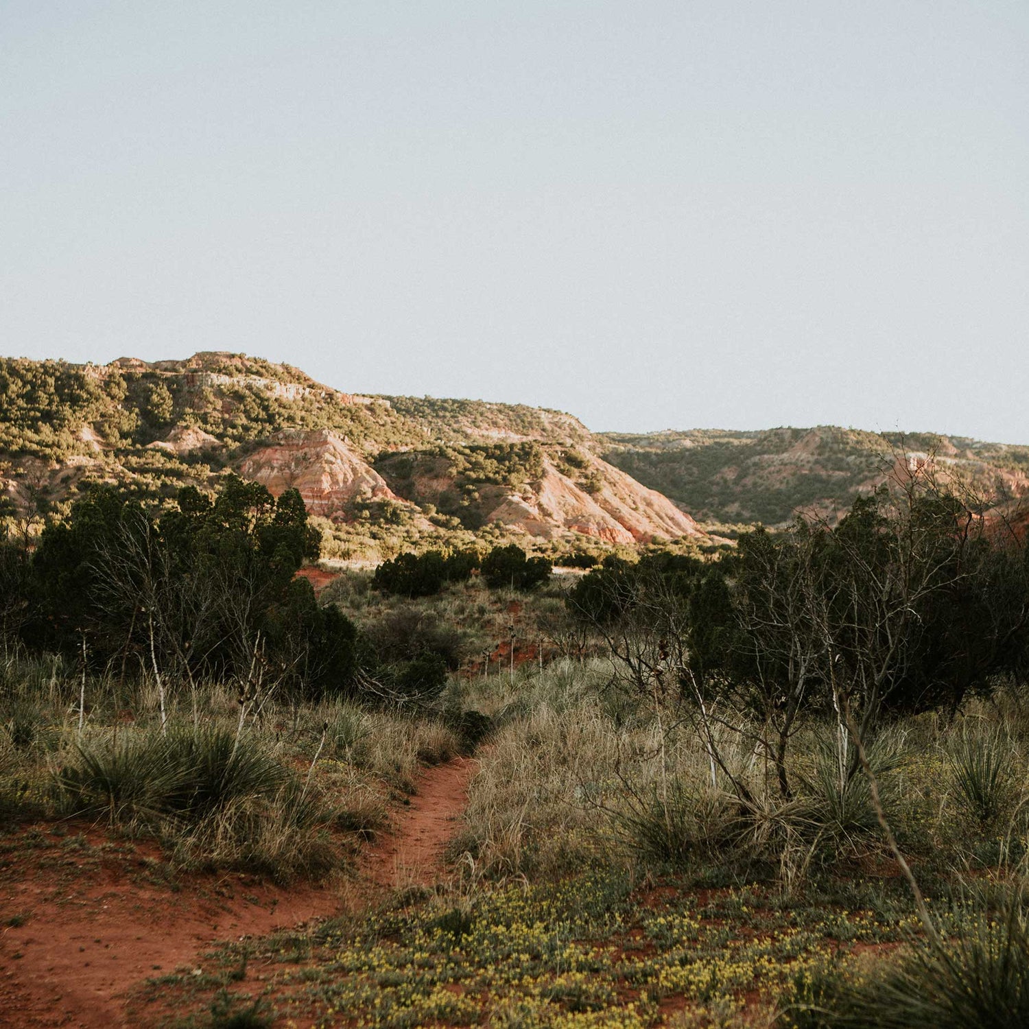 texas property showing a red dirt path in the foreground and butte in the background