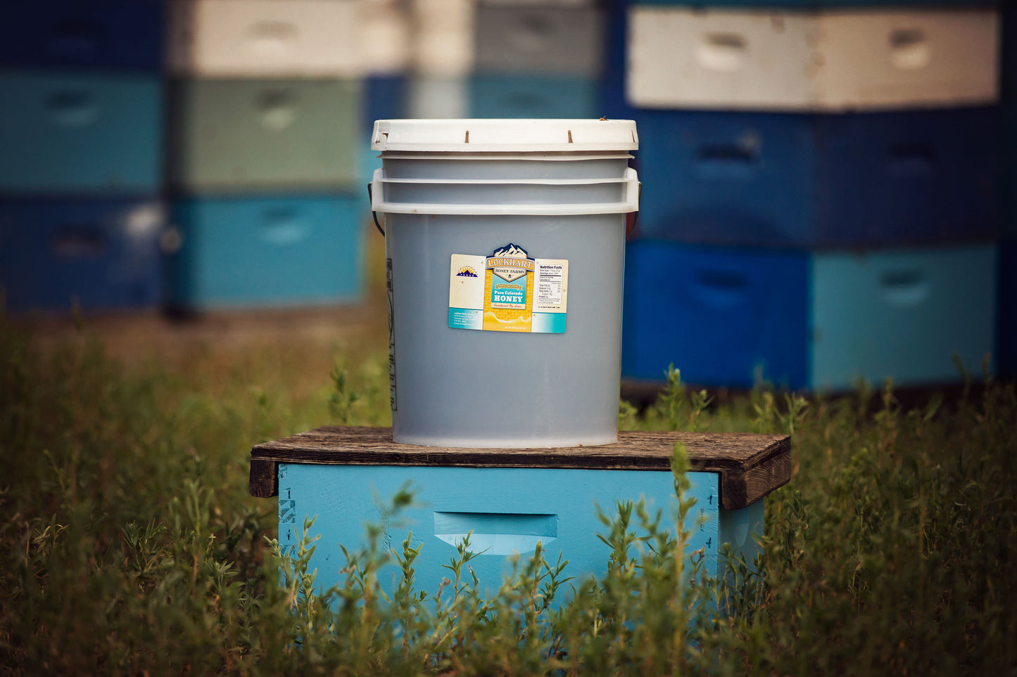 CO Springs PICKUP - 60lb. Honey Bucket (5 gal. bucket)