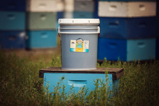 5 gal bucket of honey from Lockhart Honey Farms